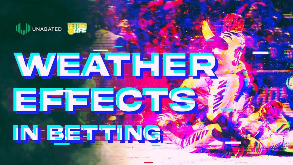 šŖļø Quarter. Back. Chaos.